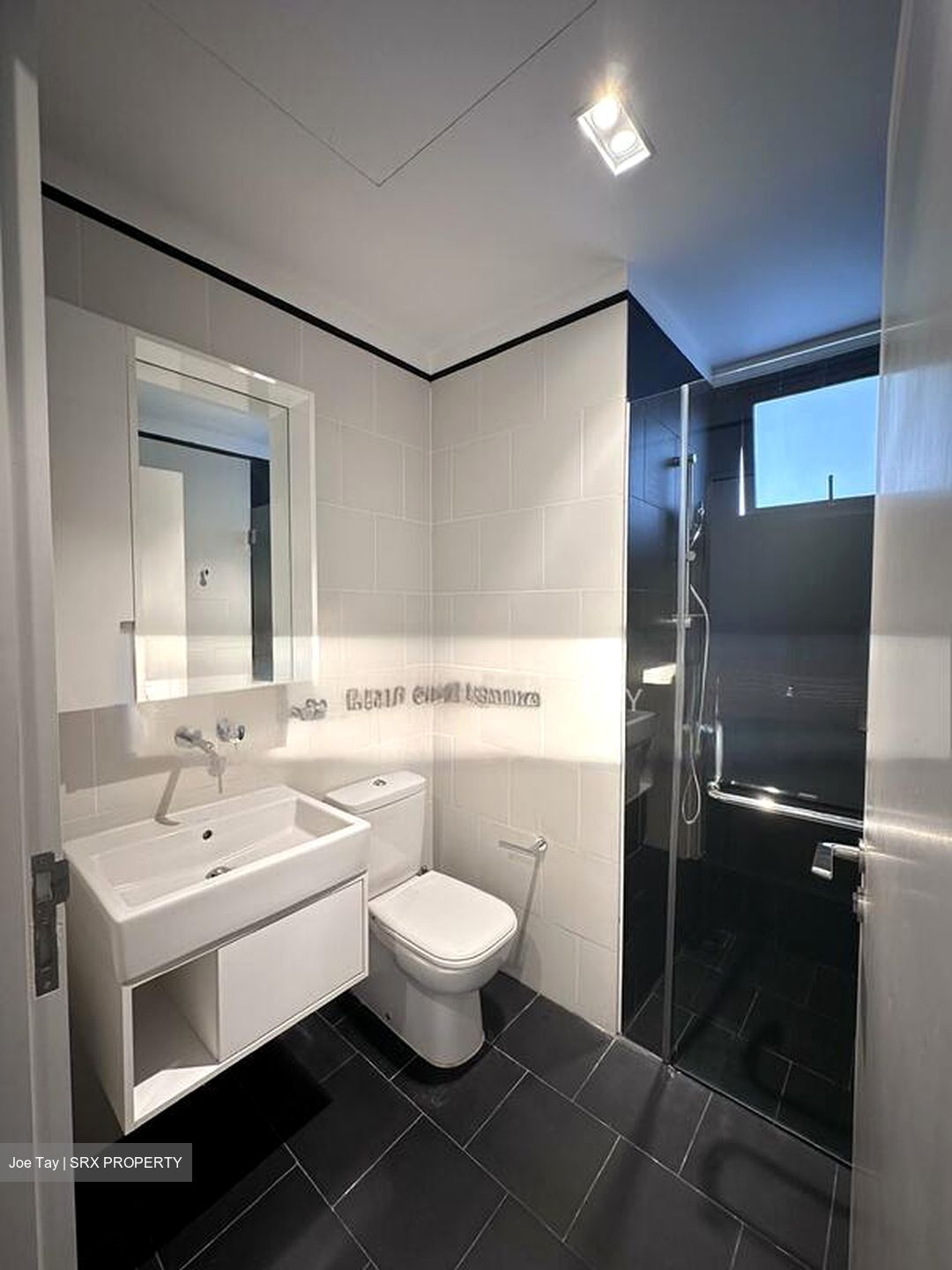 Village @ Pasir Panjang (D5), Condominium #502835481